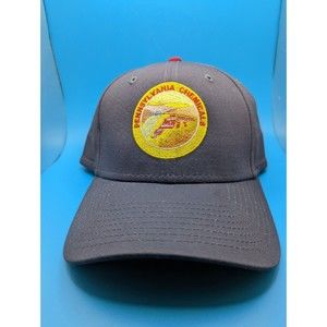 Pennsylvania Chemicals Gray 39Thirty New Era Stretch Fit Hat POTUS Visit 2019